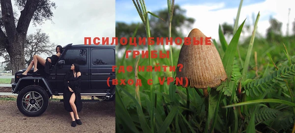 jwh Белокуриха